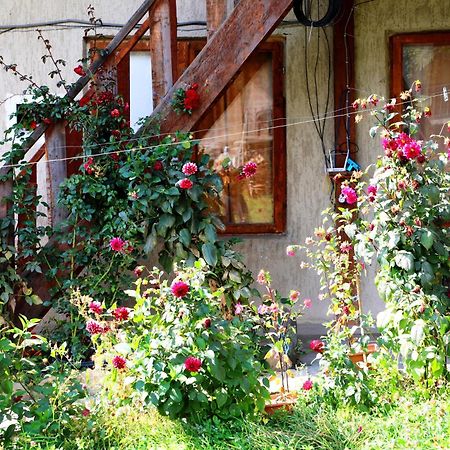 Nadia Guesthouse Mestia Ngoại thất bức ảnh
