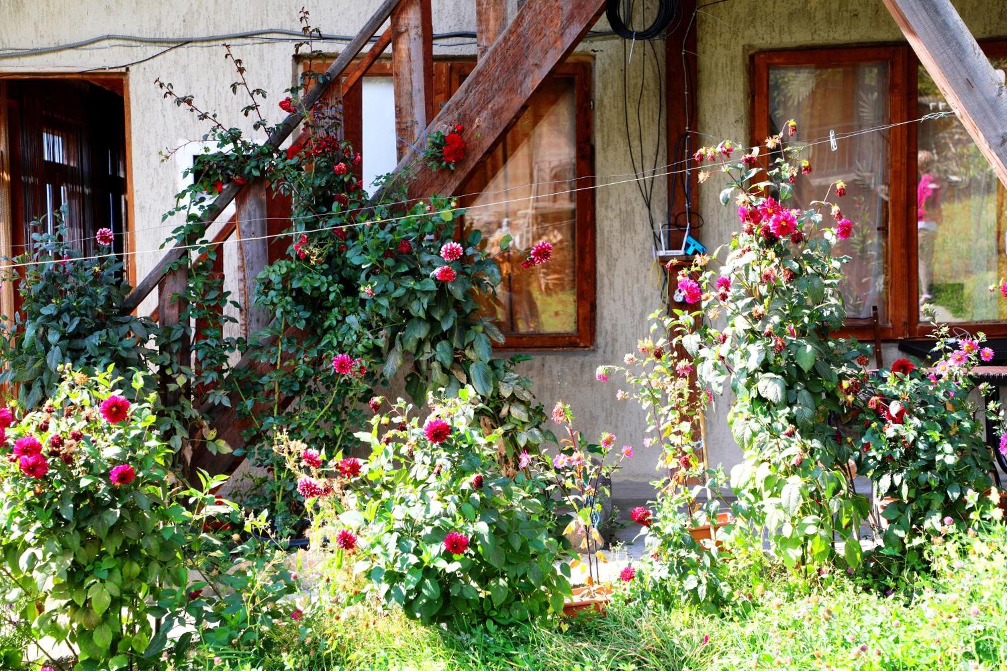 Nadia Guesthouse Mestia Ngoại thất bức ảnh